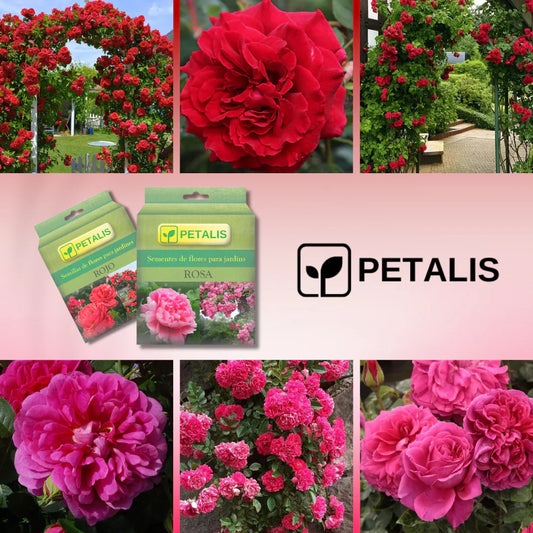 SEMILLAS ORGÁNICAS FLORALES DE EUSTOMA - PETALIS™ (400 SEMILLAS)
